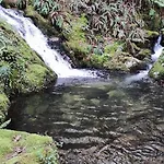 As Pagonas Moaña