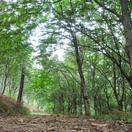 As Pagonas Moaña