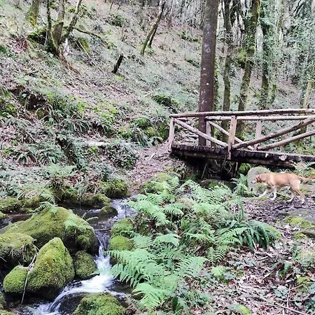 Vakantiehuis As Pagonas *