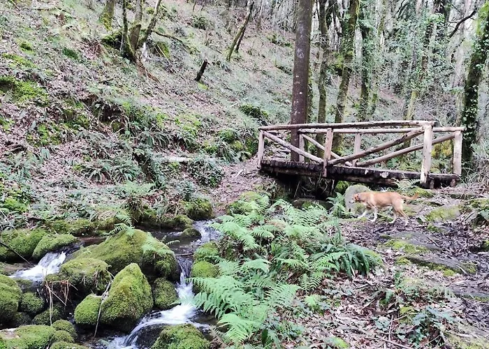 Dom wakacyjny As Pagonas *